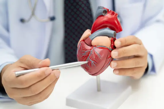 Acompanhamento da Saúde Cardiovascular